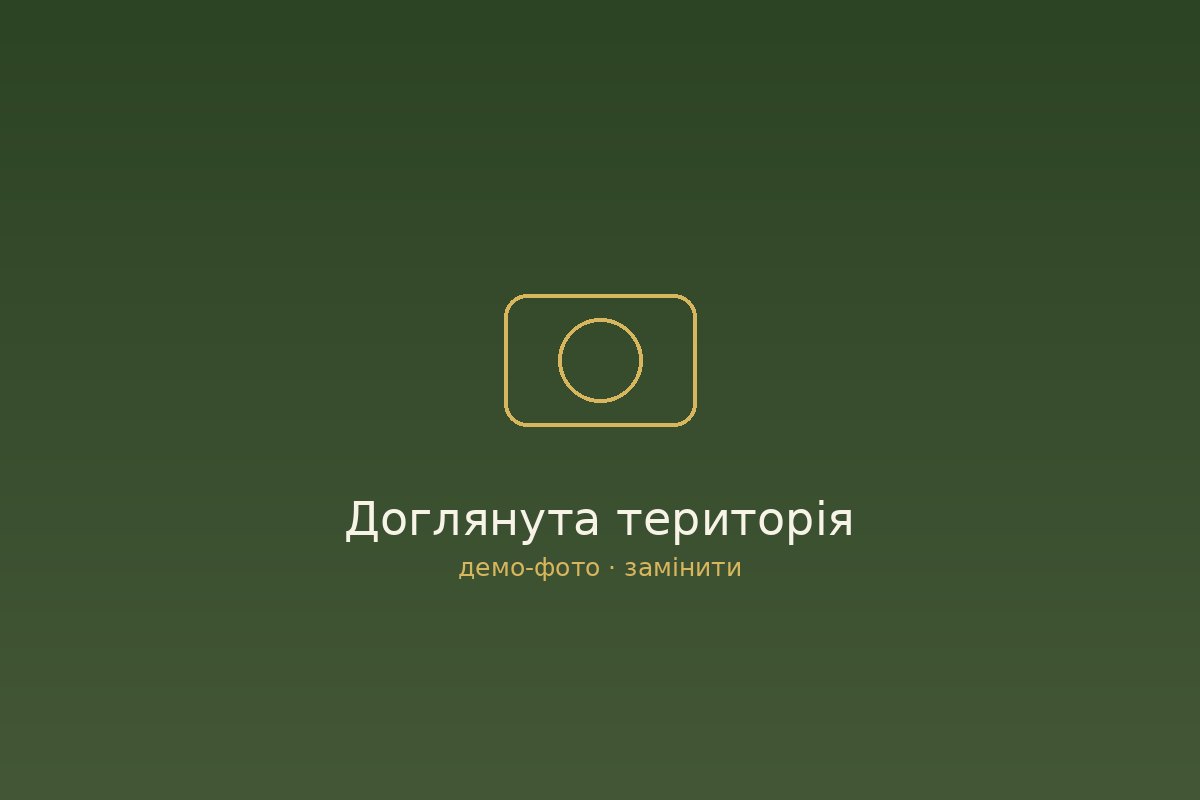 Правильне харчування літніх людей: основні принципи