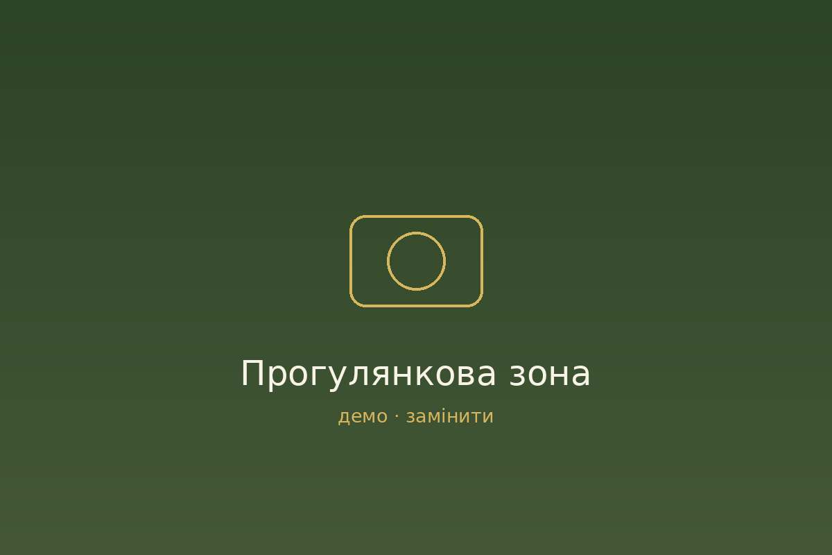 Пансіонат чи доглядальниця вдома: що обрати для літньої людини